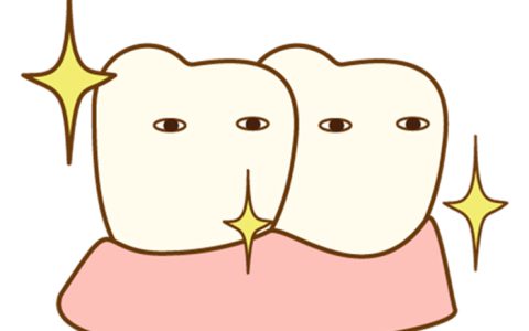 歯ブラシのお供