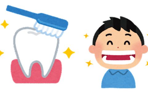 むし歯・歯周病の予防について