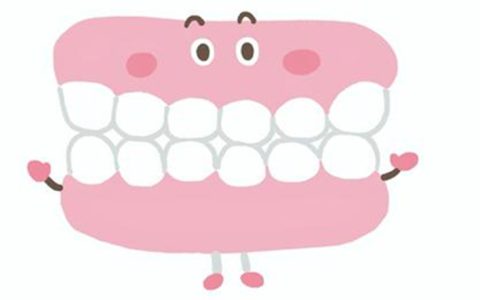 入れ歯の種類と特徴