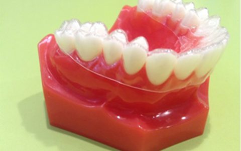 体の不調は歯並びが理由で起こる?