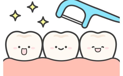 予防歯科とは？～健康な歯を守るために～